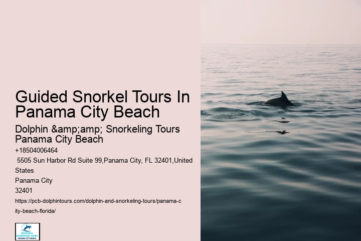 Guided Snorkel Tours In Panama City Beach