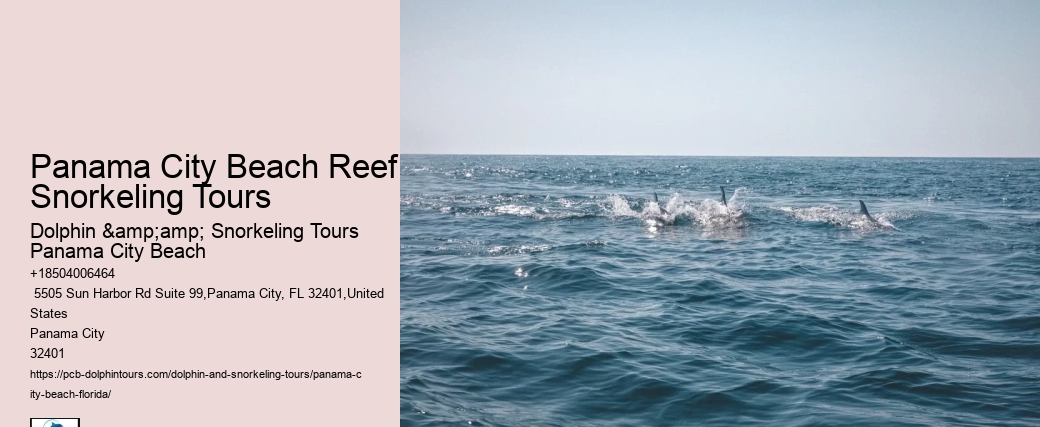 Panama City Beach Reef Snorkeling Tours