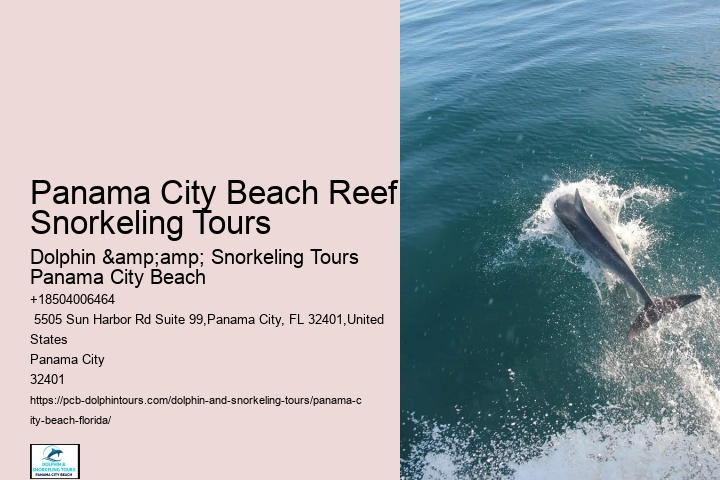 Can I Take Shells Home From Florida