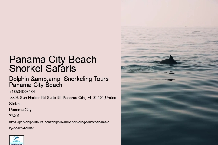 Panama City Beach Snorkel Safaris
