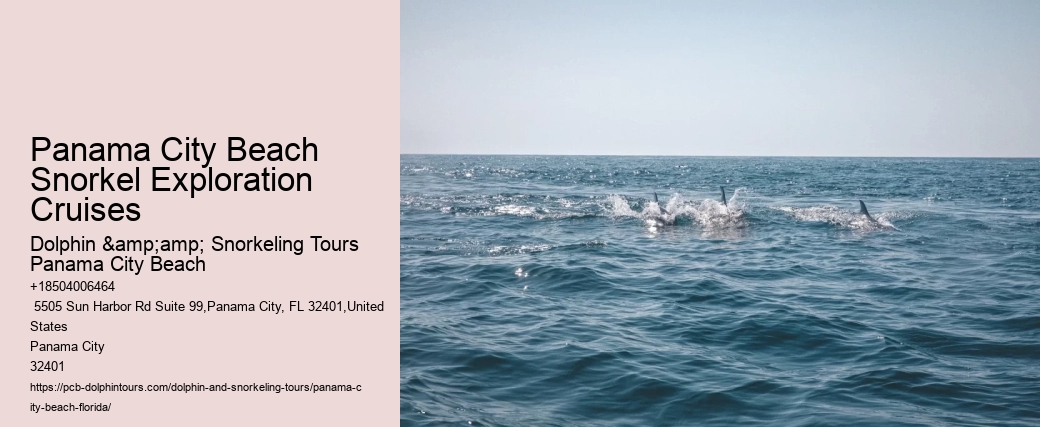 Panama City Beach Snorkel Exploration Cruises