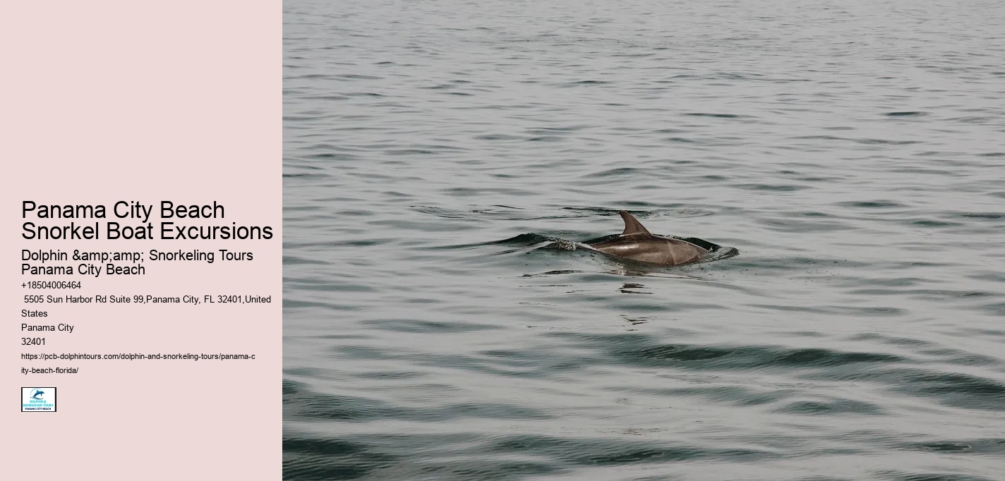 Panama City Beach Snorkel Boat Excursions