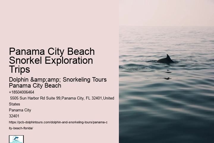 Panama City Beach Snorkel Exploration Trips