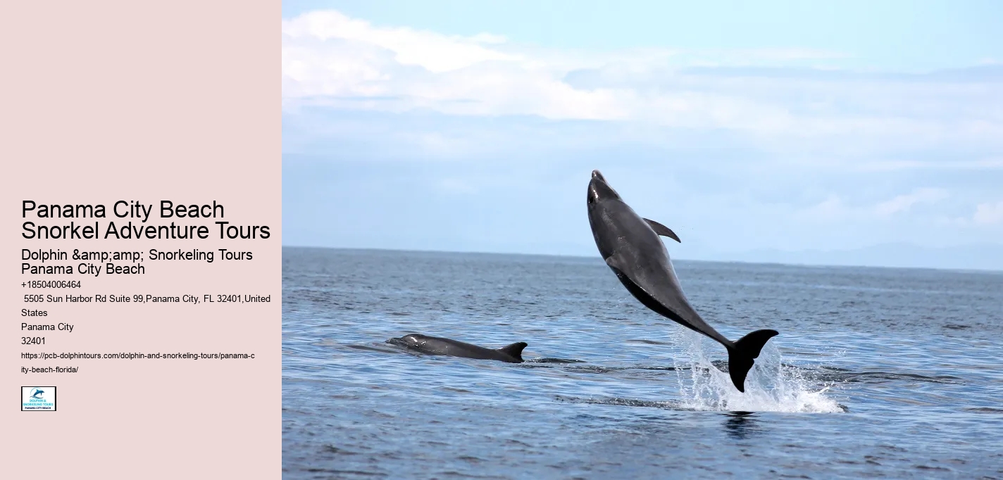 Panama City Beach Snorkel Adventure Tours