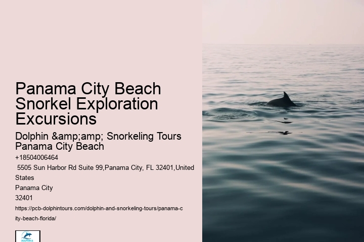 Panama City Beach Snorkel Exploration Excursions