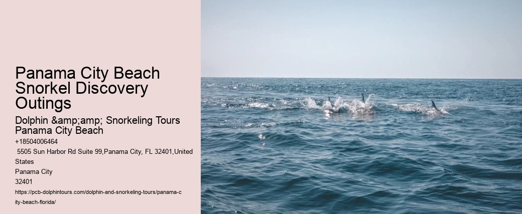 Panama City Beach Snorkel Discovery Outings