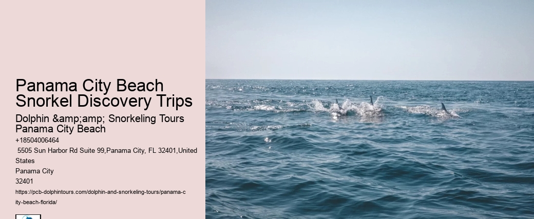 Panama City Beach Snorkel Discovery Trips