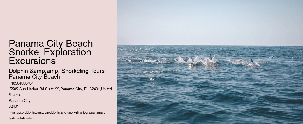 Panama City Beach Snorkel Exploration Excursions