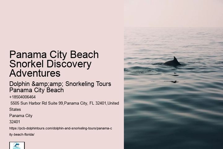 Panama City Beach Snorkel Discovery Adventures