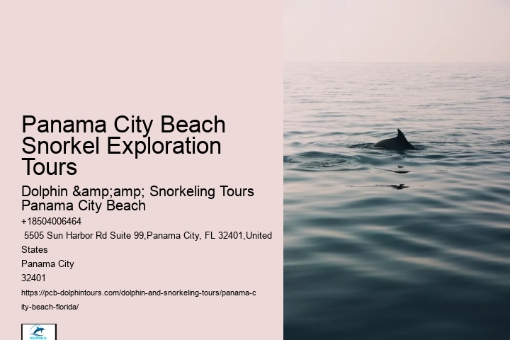 Panama City Beach Snorkel Exploration Tours