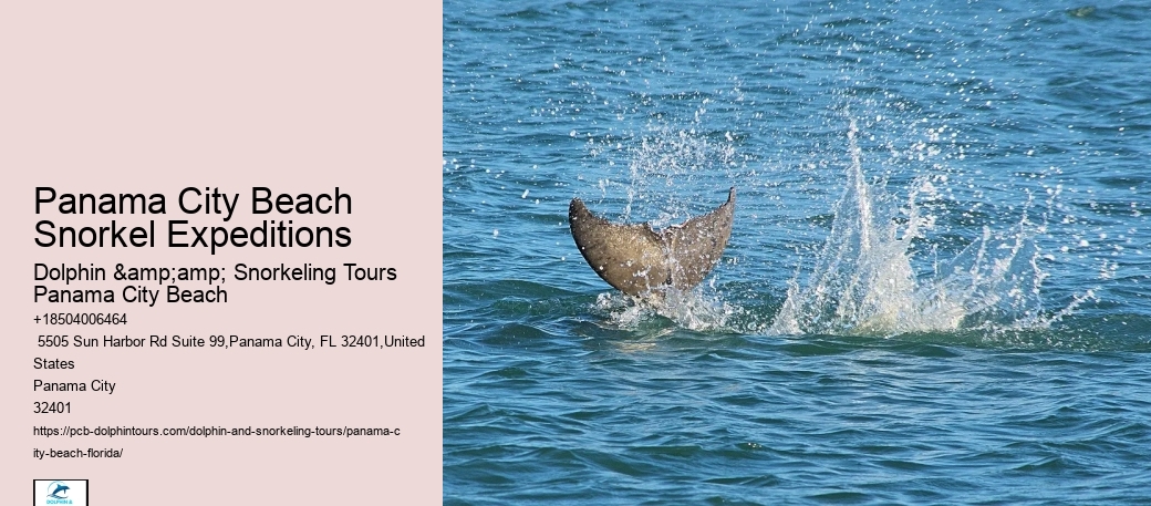Panama City Beach Snorkel Expeditions