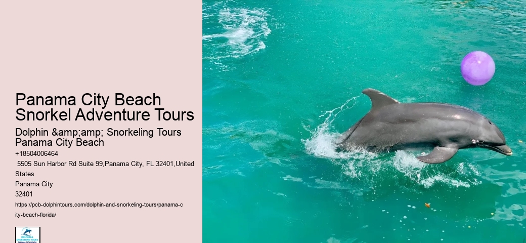 Panama City Beach Snorkeling Tours Park City