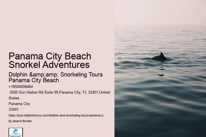 Panama City Beach Snorkeling Tours Usa