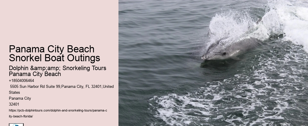 Why Are Conch Shells Illegal