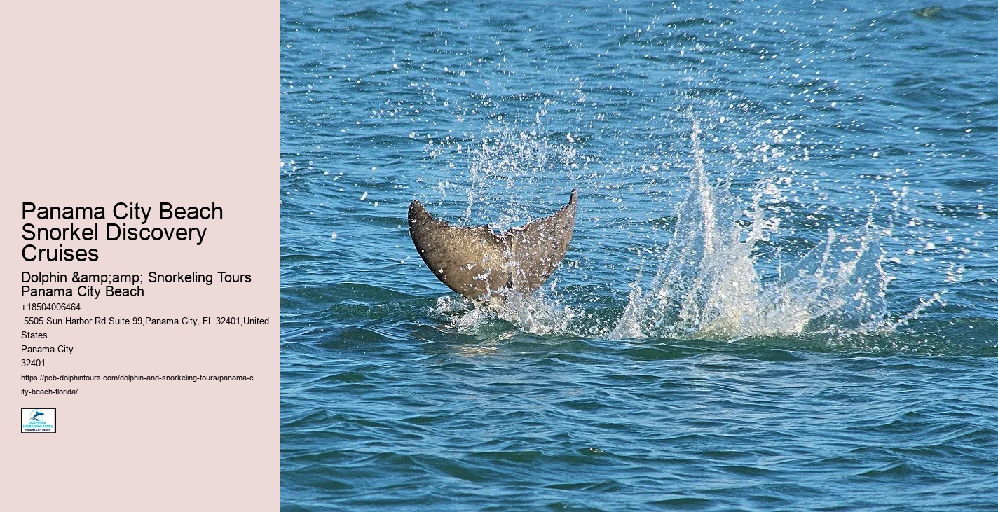 Panama City Beach Snorkeling Tours Canal