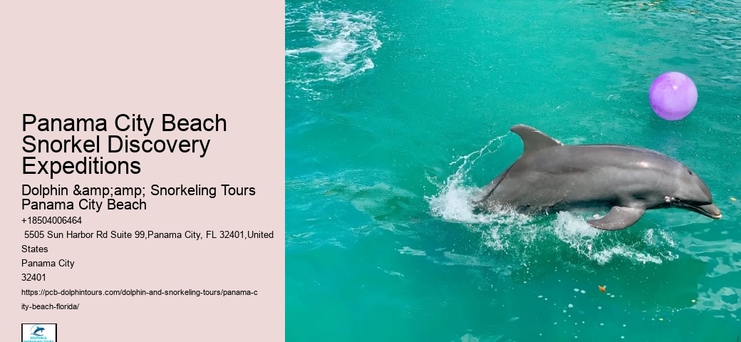 Panama City Beach Snorkeling Tours Colorado Mountains