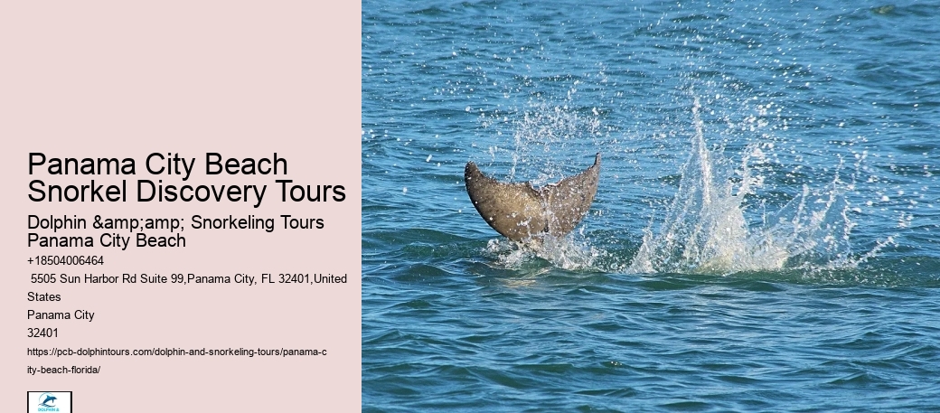 Panama City Beach Snorkel Exploration Trips