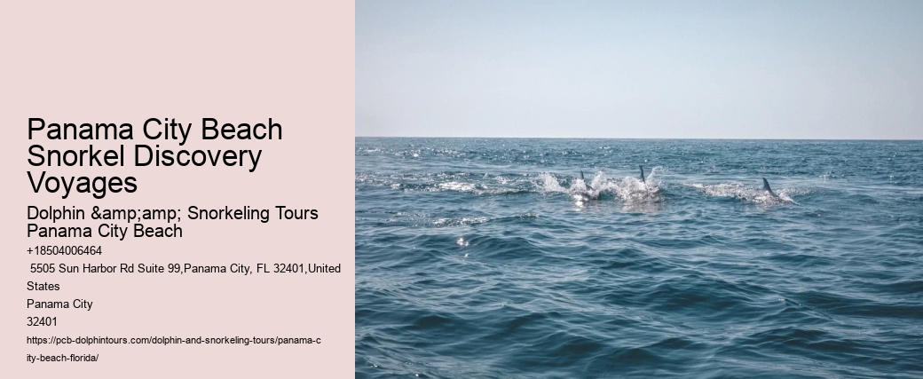 Snorkeling Charters Departing From Panama City Beach