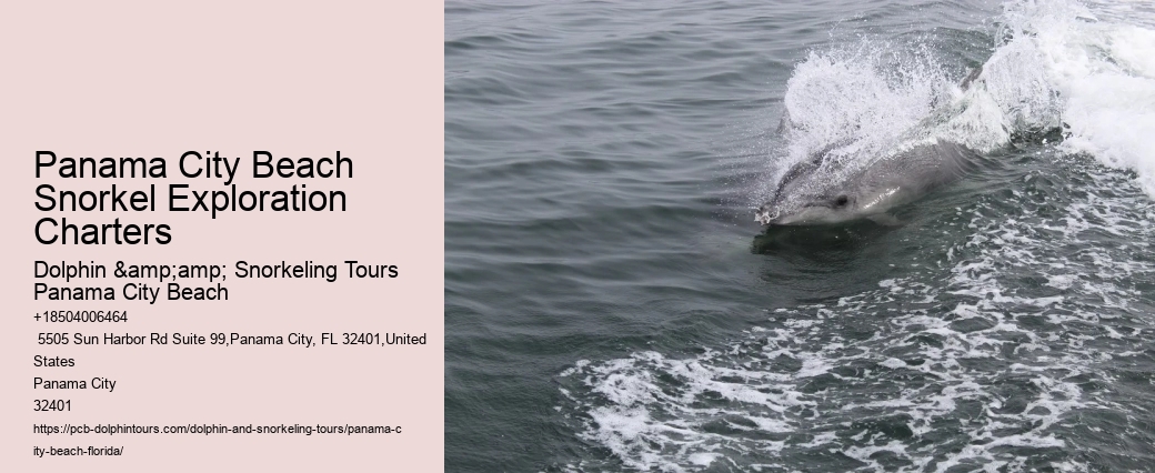 Panama City Beach Snorkel Discovery Adventures