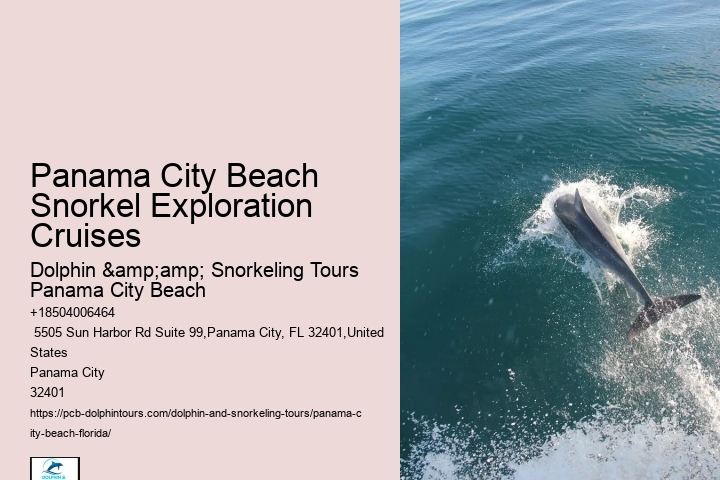 How Much Does It Cost To Go To Shell Island In Panama City Beach