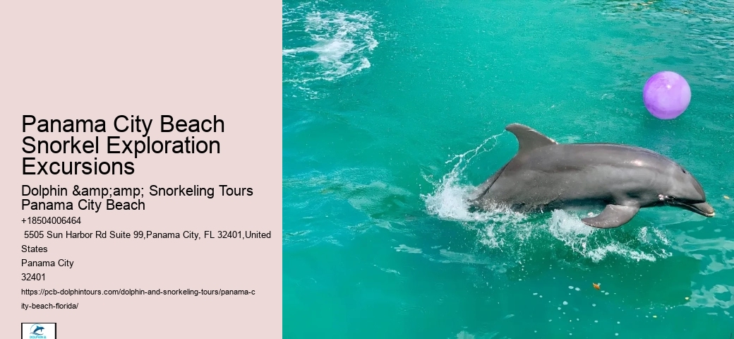 Panama City Beach Beach Snorkel Trip Aboard The Footloose Catamaran