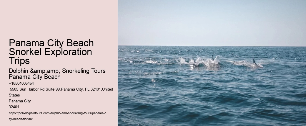 What Marine Life Can Be Seen During Snorkeling Tours In Panama City Beach