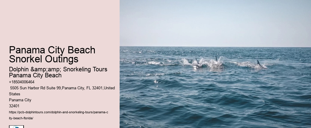 Panama City Beach Snorkeling Tours Airboat