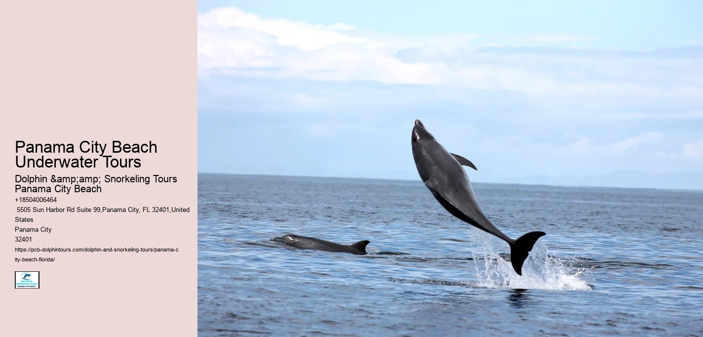 Panama City Beach Snorkeling Tours 6 Points