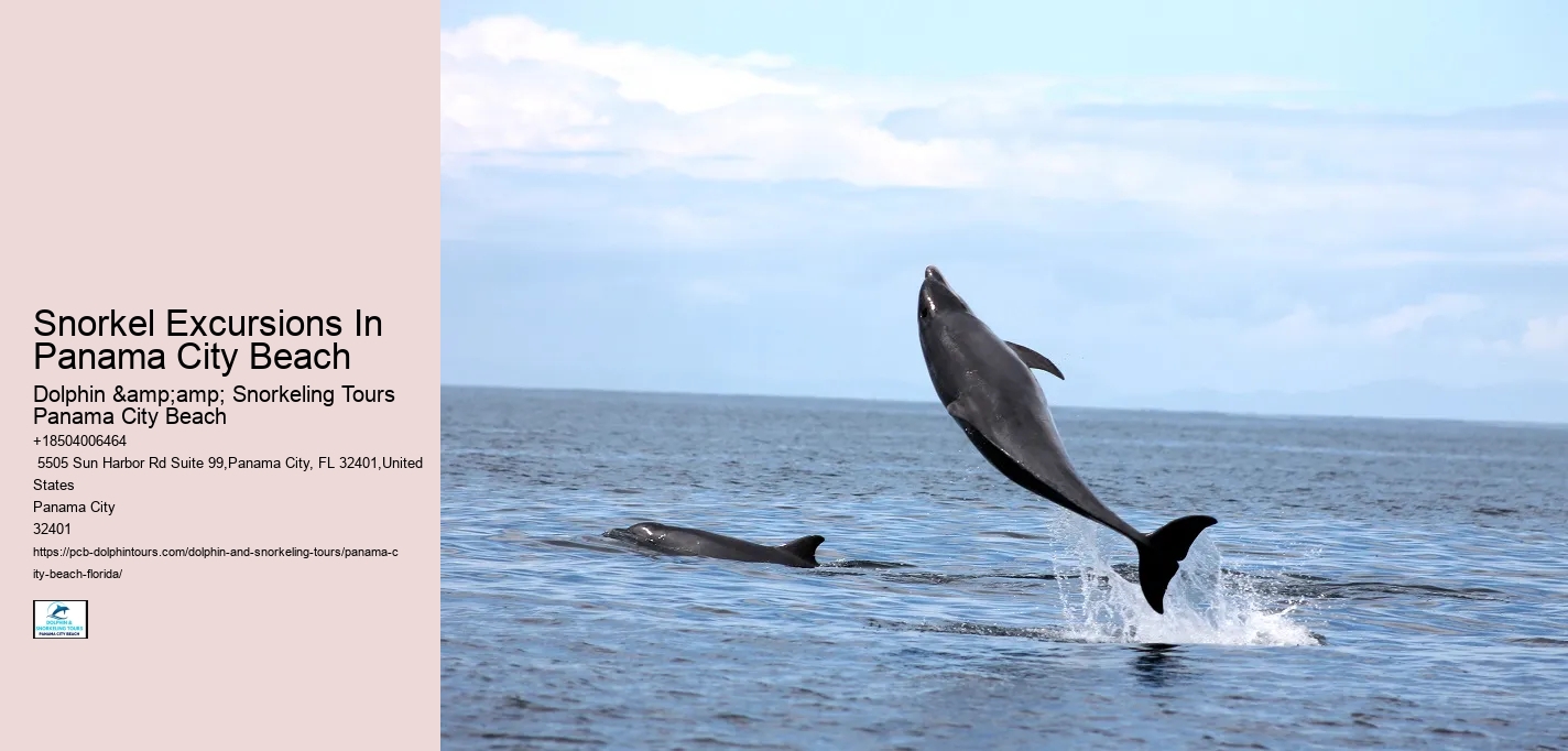 Snorkel Excursions In Panama City Beach