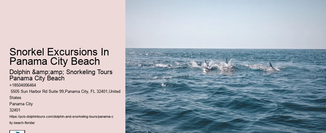 Snorkeling Trips Departing From Panama City Beach