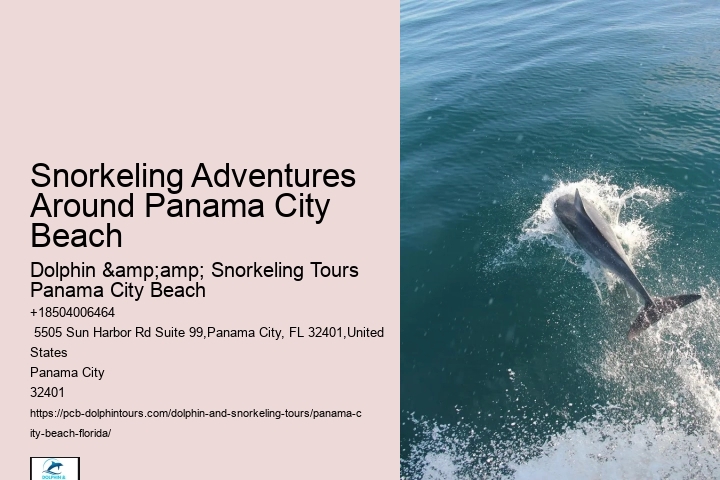 Panama City Beach Snorkeling Tours 27