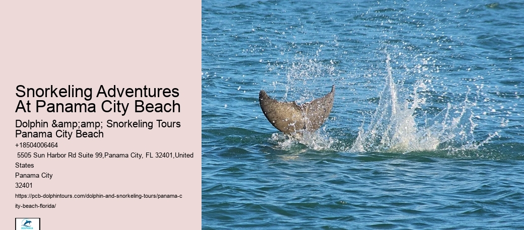 Panama City Beach Snorkeling Tours Voyager