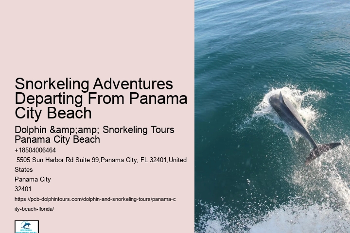 Snorkeling Tours In Panama City Beach