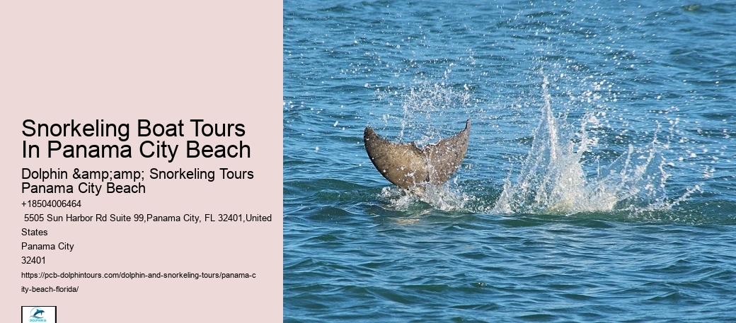 Pcb Snorkel Exploration Trips