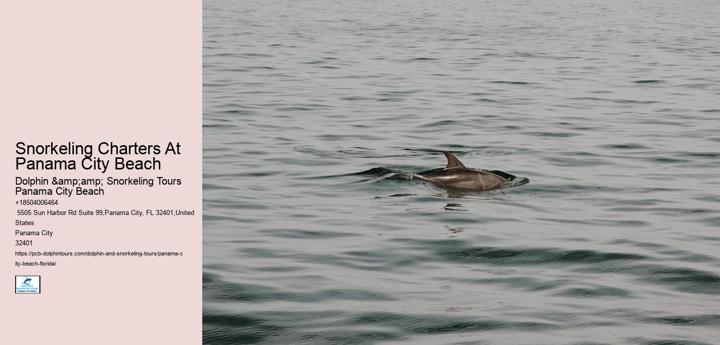 Snorkeling Charters At Panama City Beach