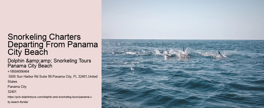 Snorkeling Charters Departing From Panama City Beach