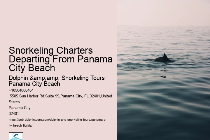 Snorkeling Charters Departing From Panama City Beach