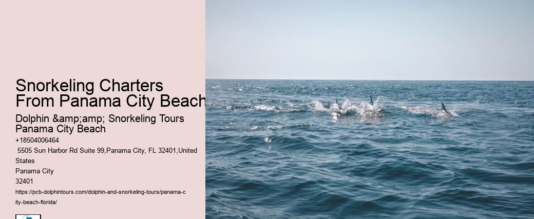 Where Can You Snorkel At Shell Island