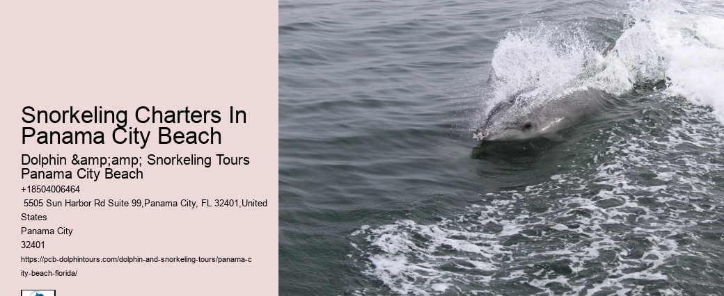 Blue Dolphin Tours