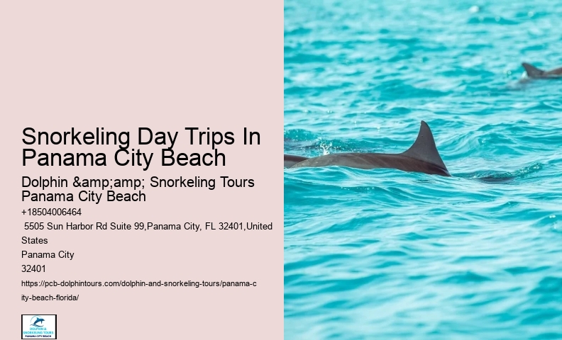Snorkeling Trips Departing From Panama City Beach