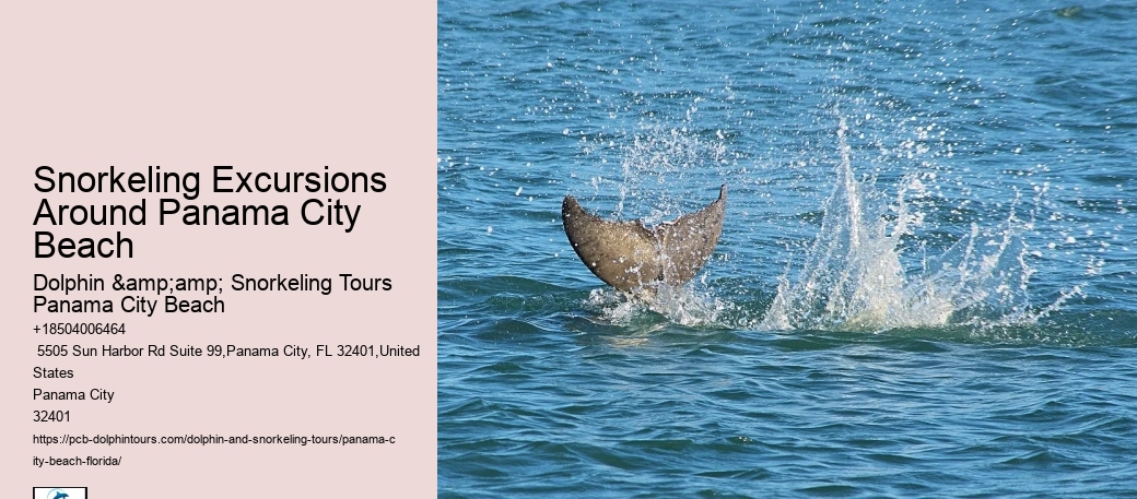 Snorkeling Excursions Around Panama City Beach