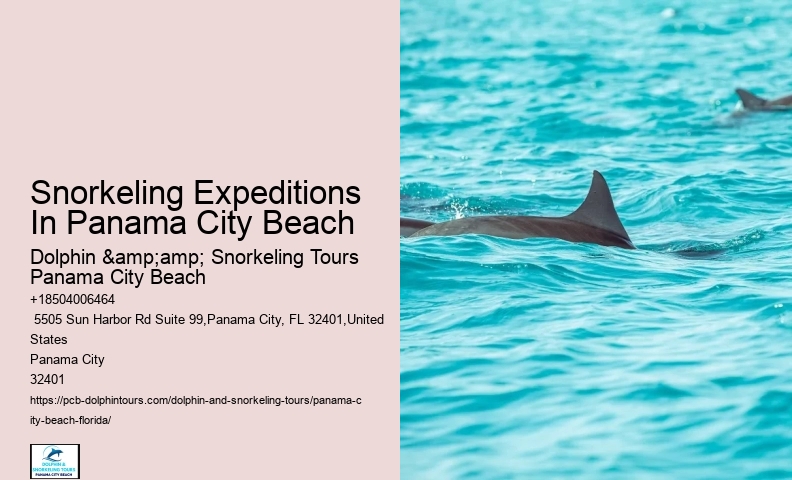 Which Side Of Florida Has Better Snorkeling