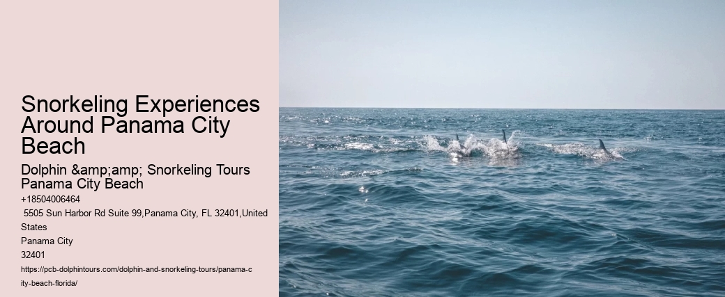 Snorkeling Experiences Around Panama City Beach