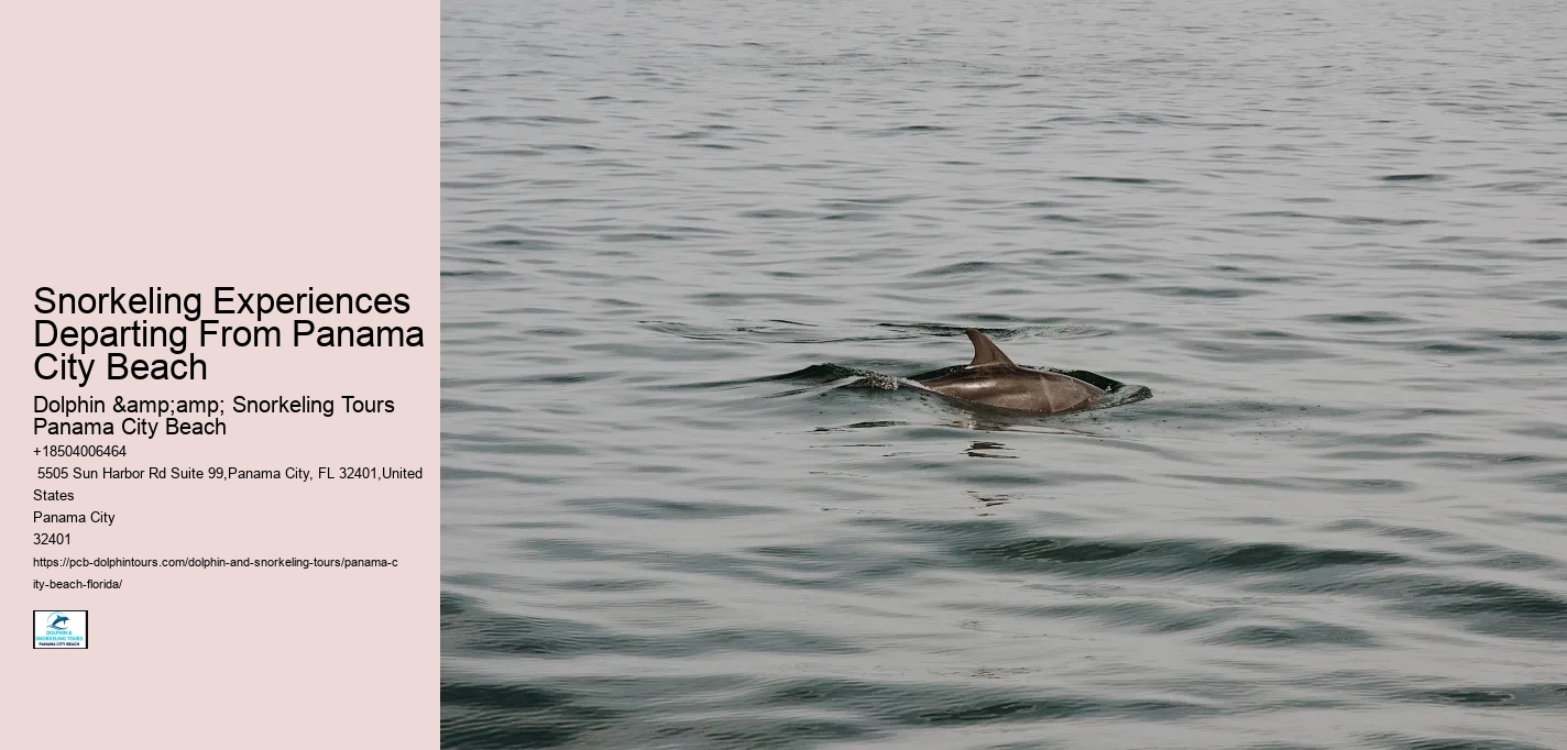 Snorkeling Experiences Departing From Panama City Beach