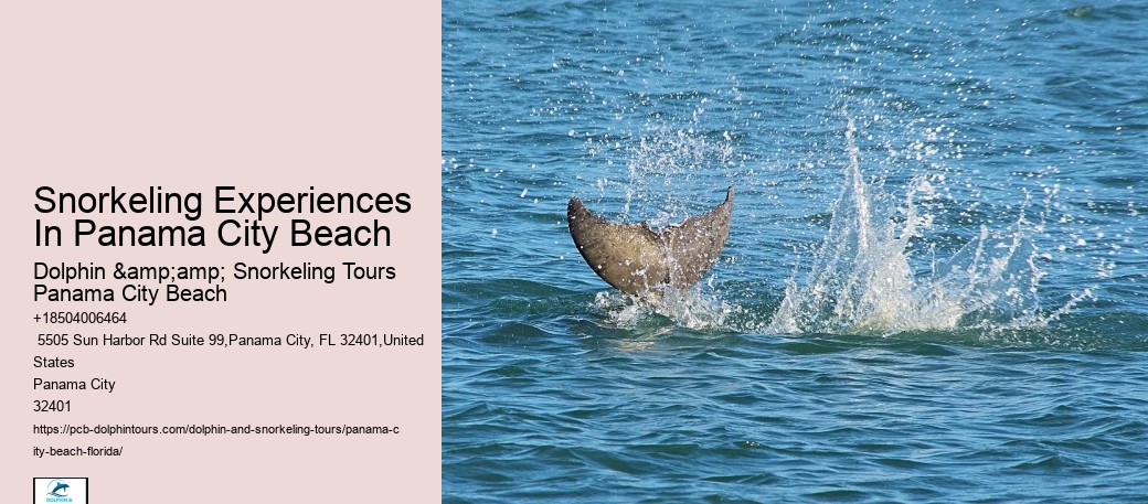 Snorkeling Experiences In Panama City Beach