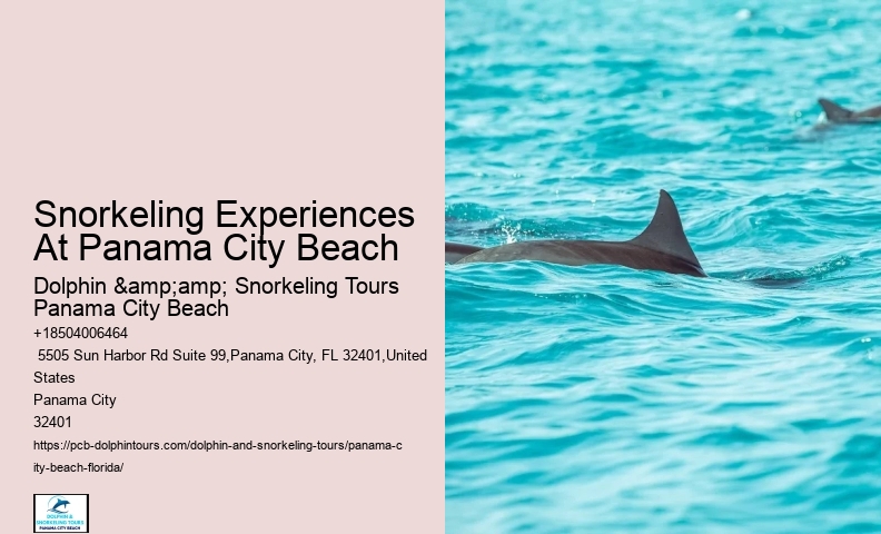 Pcb Snorkeling Trips