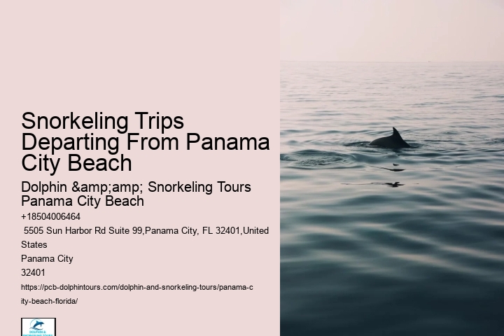 Snorkeling Trips Departing From Panama City Beach