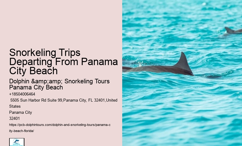Are There Any Night Snorkeling Tours Available In Panama City Beach