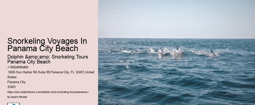 Snorkeling Voyages In Panama City Beach