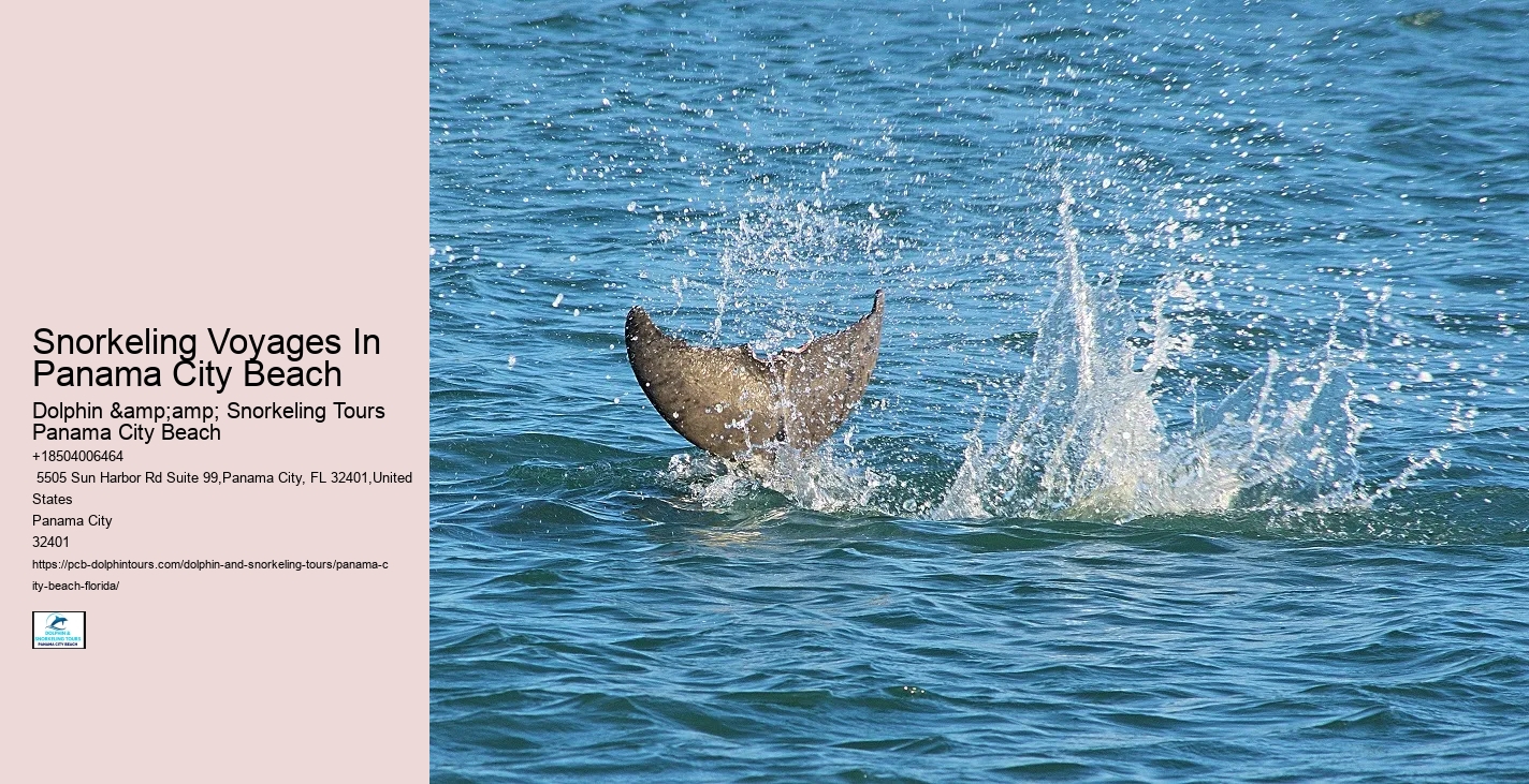 Panama City Beach Snorkeling Tours Wisconsin